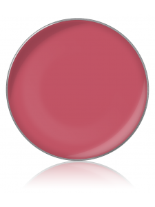 Lip gloss color №41 (lip gloss in refills), diam. 26 cm